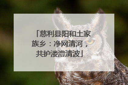 慈利县阳和土家族乡：净网清河，共护溇澧清波