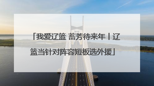 我爱辽篮 蓄芳待来年丨辽篮当针对阵容短板选外援