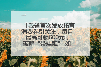 我省首次发放托育消费券引关注，每月最高可领600元，破解“带娃难” 如何不负所“托”？