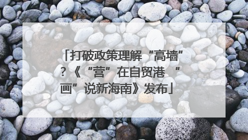 打破政策理解“高墙”？《“营”在自贸港 “画”说新海南》发布