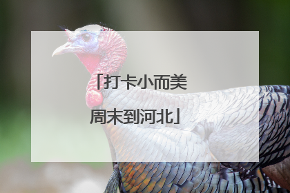 打卡小而美 周末到河北