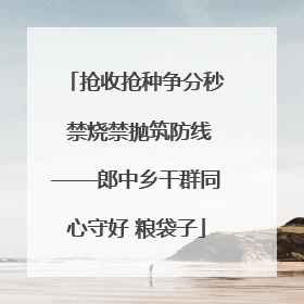 抢收抢种争分秒 禁烧禁抛筑防线——郎中乡干群同心守好 粮袋子