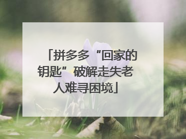 拼多多“回家的钥匙”破解走失老人难寻困境