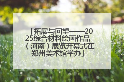 拓展与回望——2025综合材料绘画作品（河南）展览开幕式在郑州美术馆举办