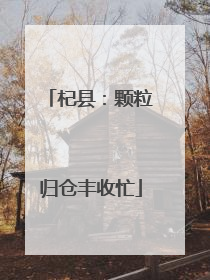 杞县：颗粒归仓丰收忙