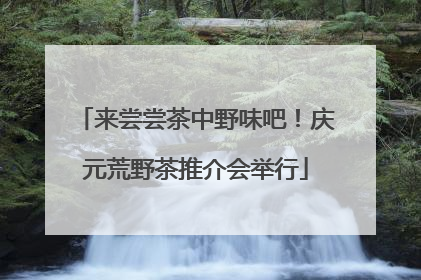 来尝尝茶中野味吧！庆元荒野茶推介会举行