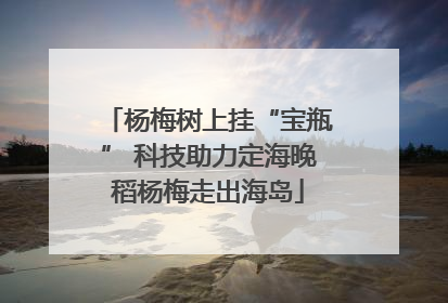 杨梅树上挂“宝瓶” 科技助力定海晚稻杨梅走出海岛