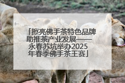 擦亮佛手茶特色品牌 助推茶产业发展——永春苏坑举办2025年春季佛手茶王赛