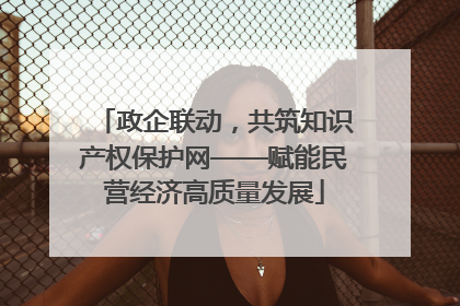 政企联动，共筑知识产权保护网——赋能民营经济高质量发展