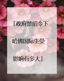 政府禁招令下 哈佛国际生受影响有多大