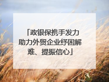 政银保携手发力 助力外贸企业纾困解难、提振信心