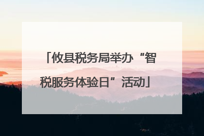 攸县税务局举办“智税服务体验日”活动