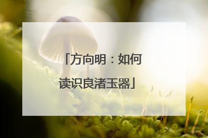方向明：如何读识良渚玉器