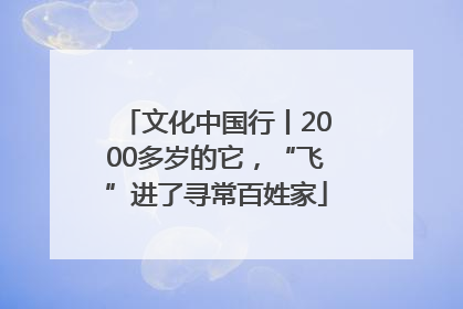 文化中国行丨2000多岁的它，“飞”进了寻常百姓家