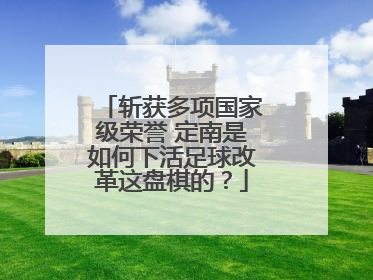 斩获多项国家级荣誉 定南是如何下活足球改革这盘棋的？