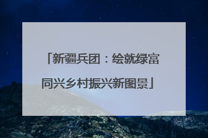 新疆兵团：绘就绿富同兴乡村振兴新图景