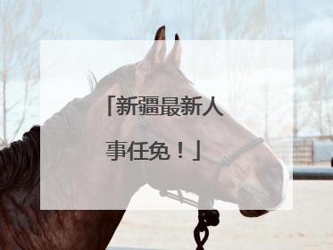 新疆最新人事任免！