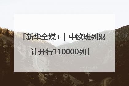 新华全媒+｜中欧班列累计开行110000列