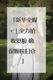 新华全媒+｜全力抢收夏粮 确保颗粒归仓