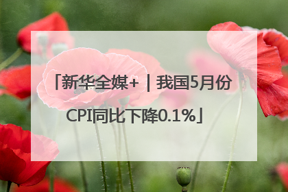 新华全媒+｜我国5月份CPI同比下降0.1%