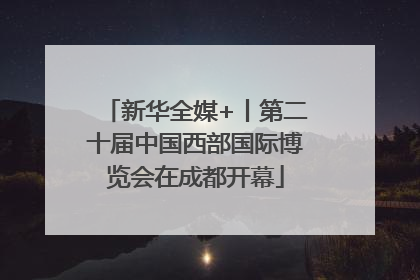 新华全媒+丨第二十届中国西部国际博览会在成都开幕