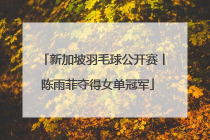 新加坡羽毛球公开赛丨陈雨菲夺得女单冠军