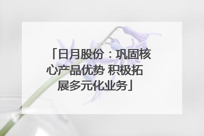 日月股份：巩固核心产品优势 积极拓展多元化业务