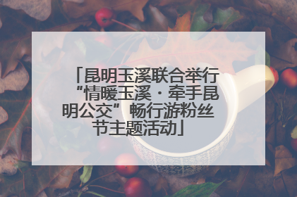 昆明玉溪联合举行“情暖玉溪・牵手昆明公交”畅行游粉丝节主题活动