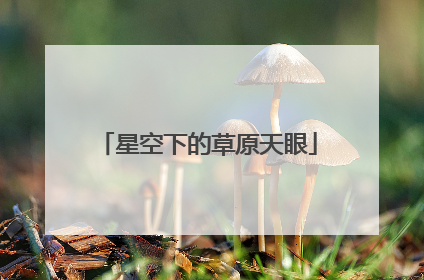 星空下的草原天眼