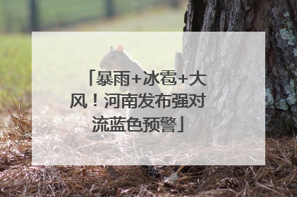 暴雨+冰雹+大风！河南发布强对流蓝色预警