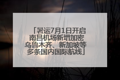 暑运7月1日开启 南昌机场新增加密乌鲁木齐、新加坡等多条国内国际航线