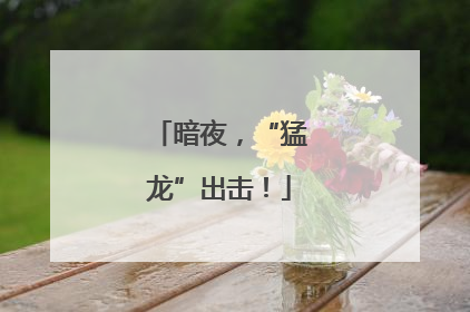 暗夜，“猛龙”出击！