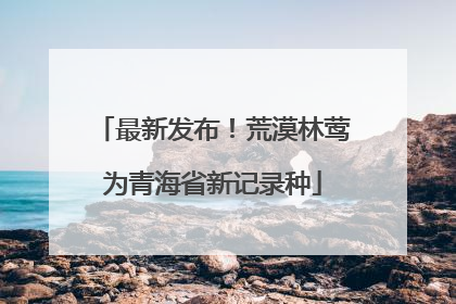 最新发布！荒漠林莺为青海省新记录种