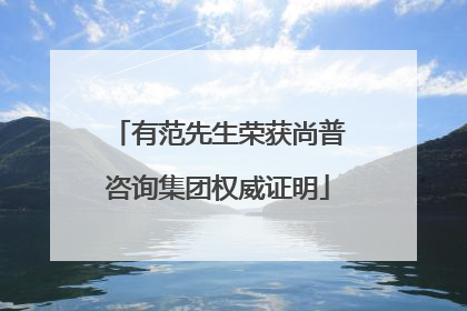 有范先生荣获尚普咨询集团权威证明