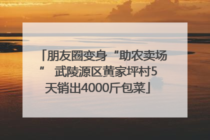 朋友圈变身“助农卖场” 武陵源区黄家坪村5天销出4000斤包菜