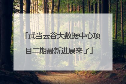 武当云谷大数据中心项目二期最新进展来了