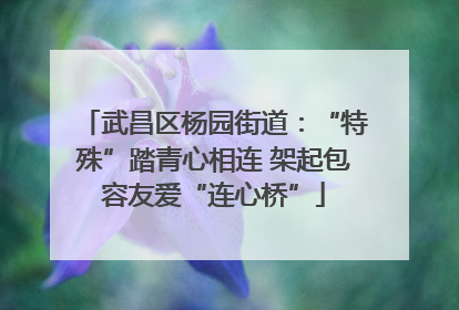 武昌区杨园街道：“特殊”踏青心相连 架起包容友爱“连心桥”