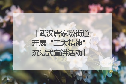 武汉唐家墩街道开展“三大精神”沉浸式宣讲活动