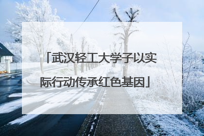 武汉轻工大学子以实际行动传承红色基因