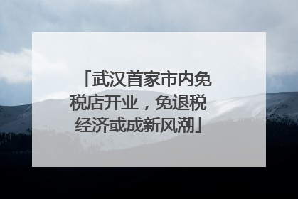 武汉首家市内免税店开业，免退税经济或成新风潮