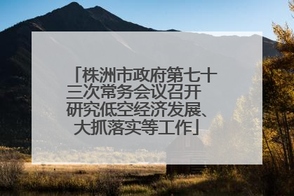株洲市政府第七十三次常务会议召开 研究低空经济发展、大抓落实等工作