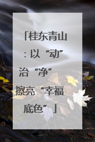 桂东青山：以“动”治“净” 擦亮“幸福底色”