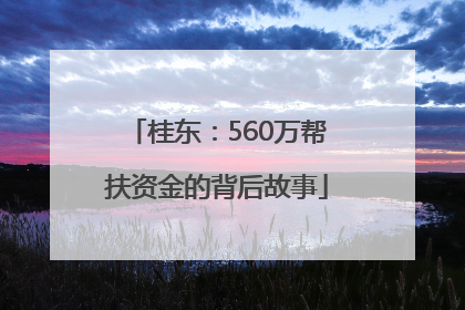 桂东：560万帮扶资金的背后故事