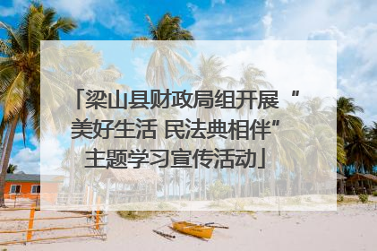梁山县财政局组开展“美好生活 民法典相伴”主题学习宣传活动