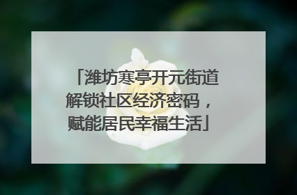 潍坊寒亭开元街道解锁社区经济密码，赋能居民幸福生活