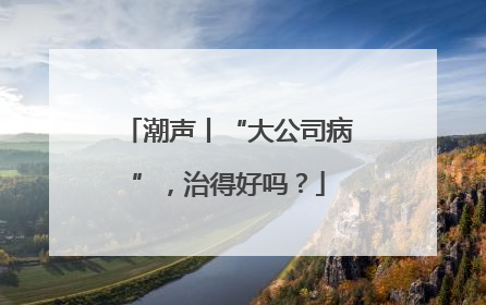 潮声丨“大公司病”，治得好吗？