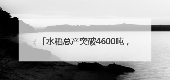 水稻总产突破4600吨，集体经济翻两番：永丰村的三年蜕变｜您牵挂的四川