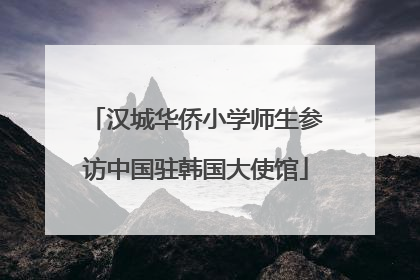 汉城华侨小学师生参访中国驻韩国大使馆