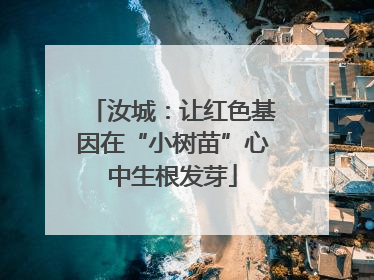 汝城：让红色基因在“小树苗”心中生根发芽