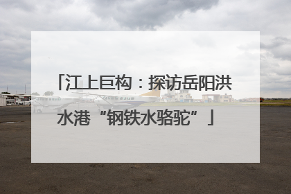 江上巨构：探访岳阳洪水港“钢铁水骆驼”